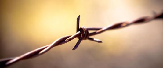 Колючий дріт