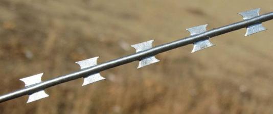 Egoza razor wire