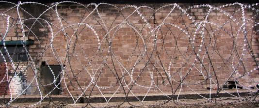 Cobra double concertina