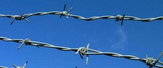 Double-strand barbed wire