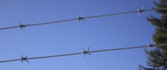 Single-strand barbed wire