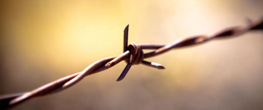 Колючий дріт