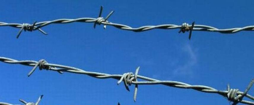 Double-strand barbed wire
