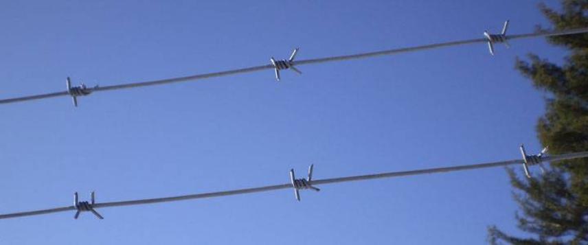 Single-strand barbed wire
